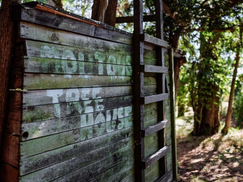 La Cabane des enfants
