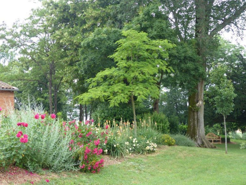 Le Parc en fleurs…